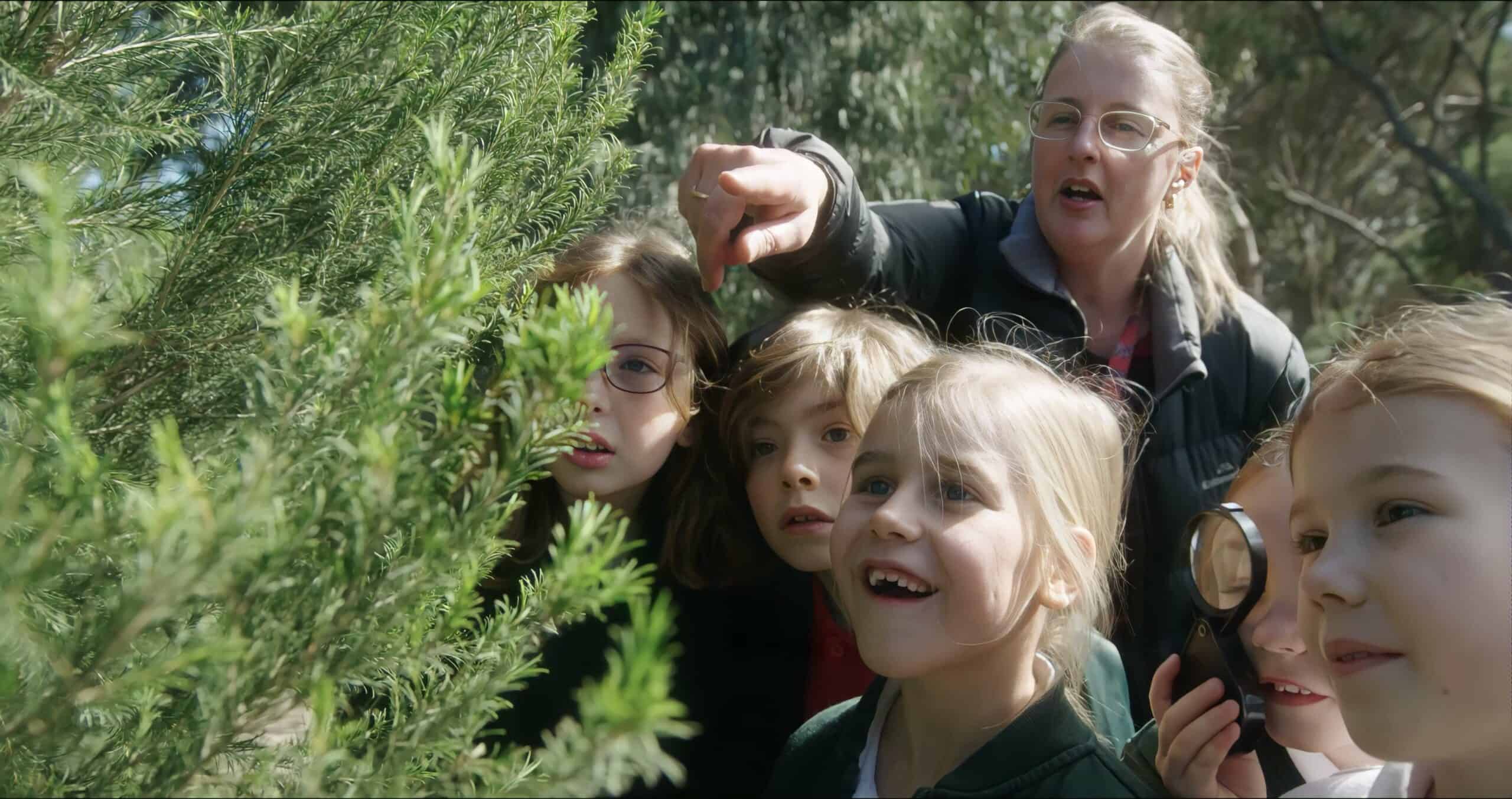 A group of children and their teacher are looking at a tree.